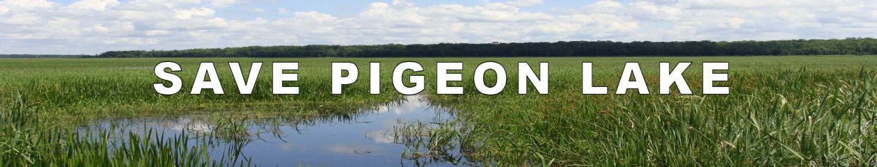 Save Pigeon Lake  Ontario